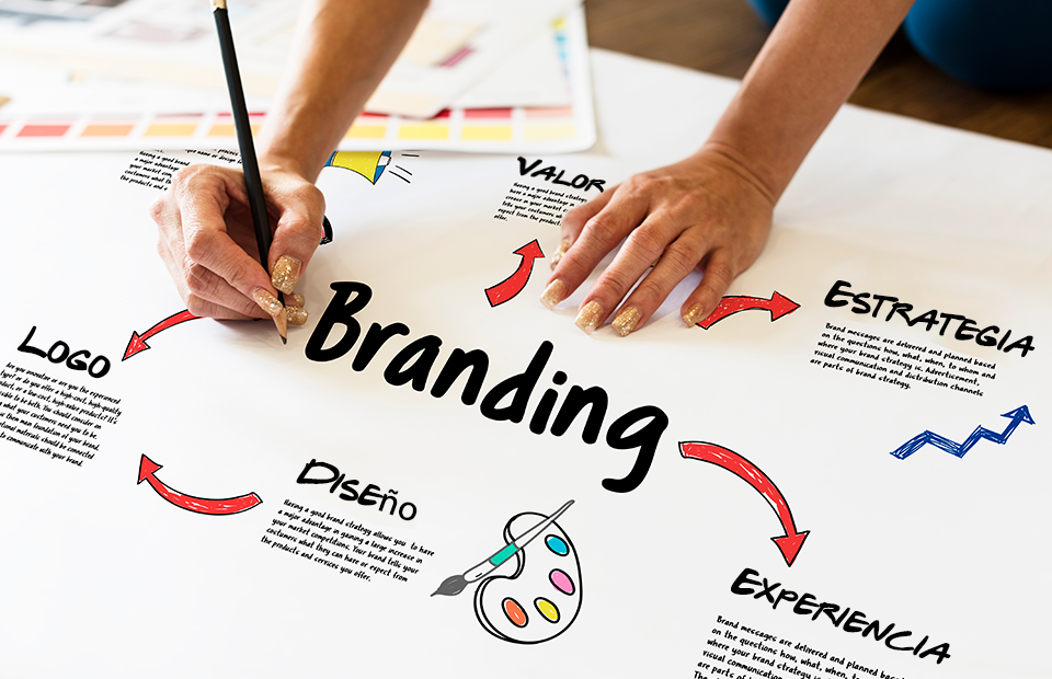 ¿Cómo crear una marca desde cero?